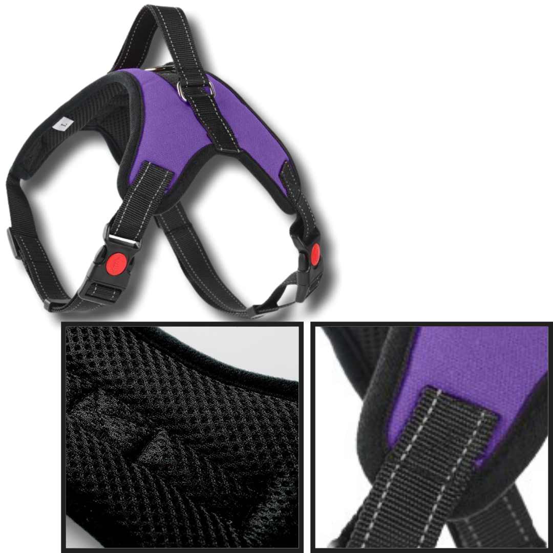 Reflective Adjustable saddle Dog Harness