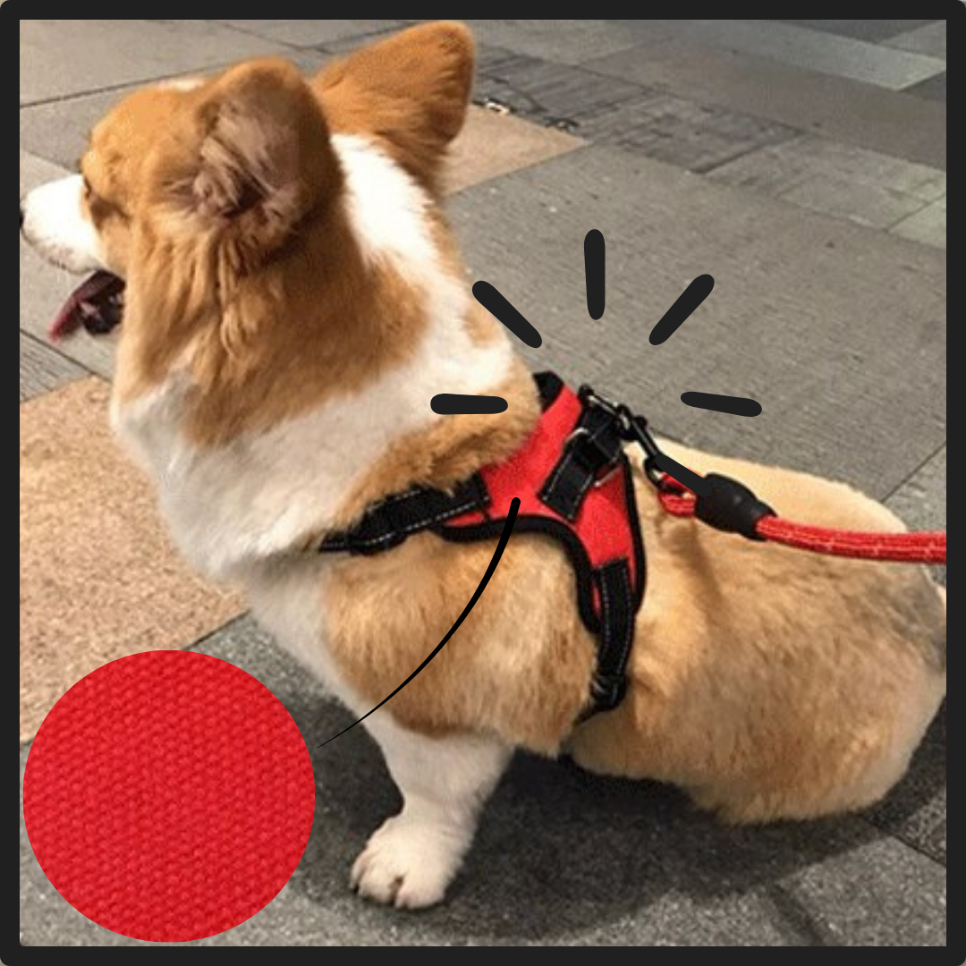 Reflective Adjustable saddle Dog Harness