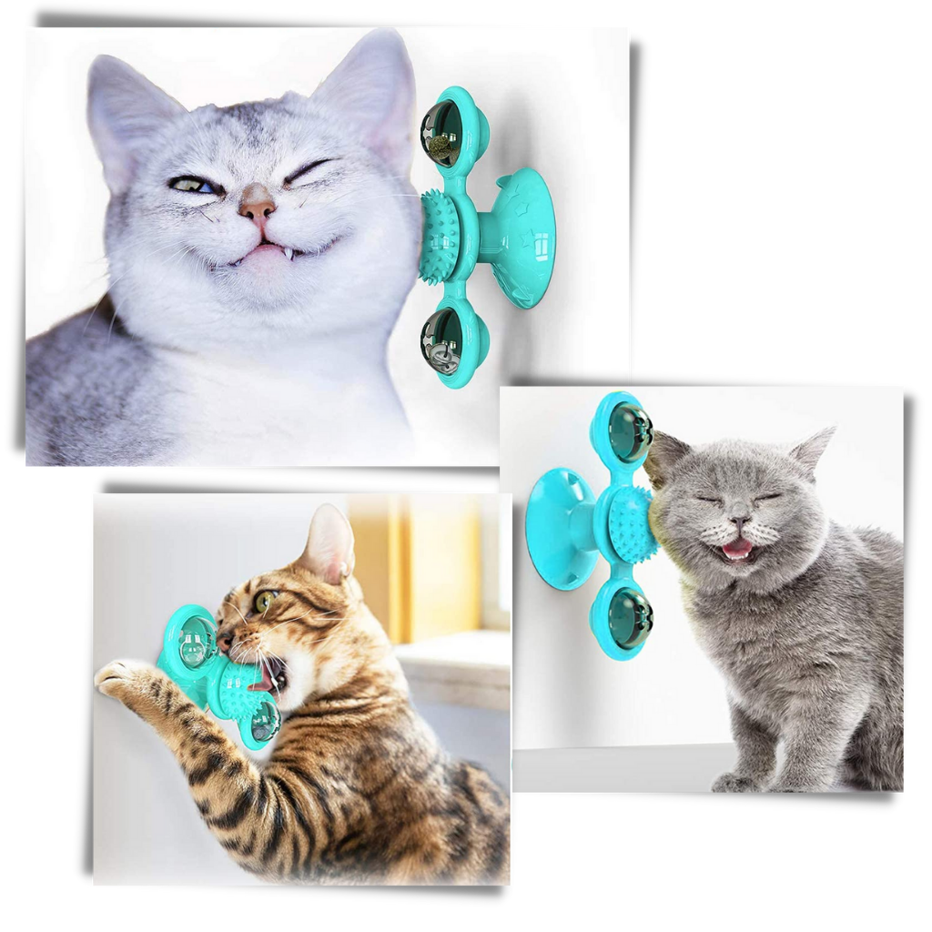 Rotative Windmill Cat Toy With Brush