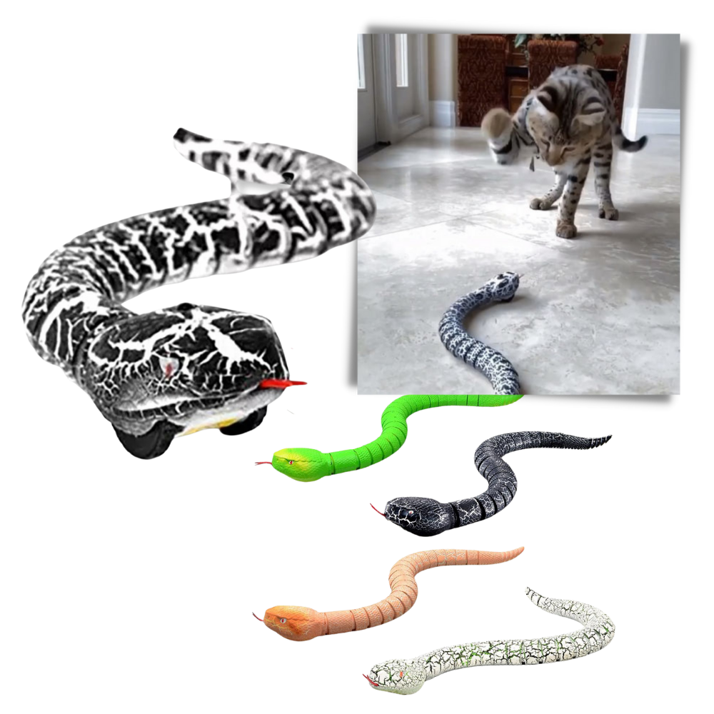 Remote control interactive snake toy for cat