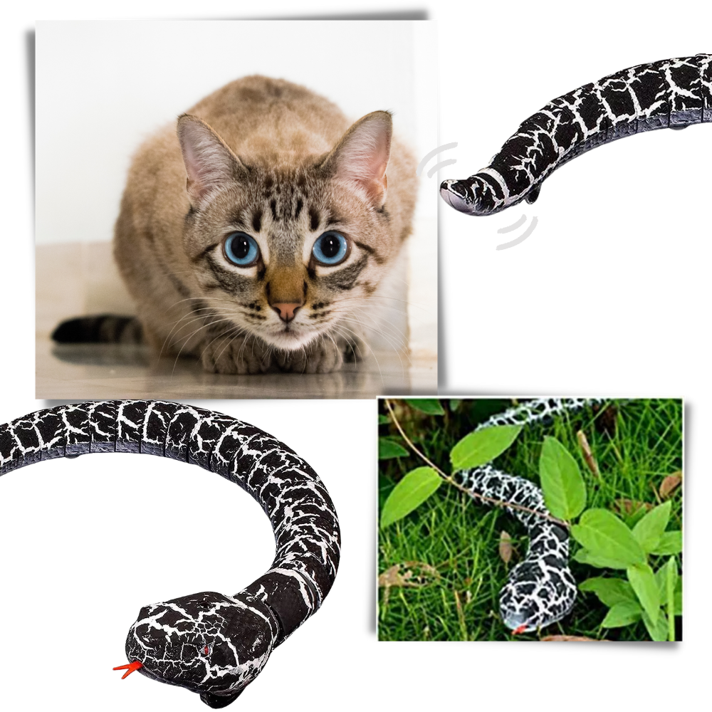 Remote control interactive snake toy for cat