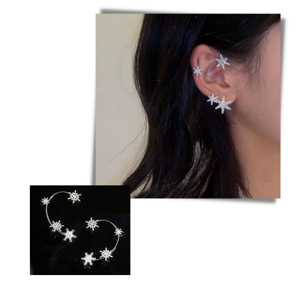 Pair of Zirconia Clip-on Fashion Earrings