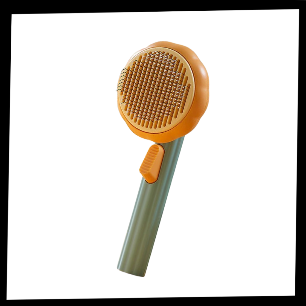 Self-cleaning pumpkin pet brush