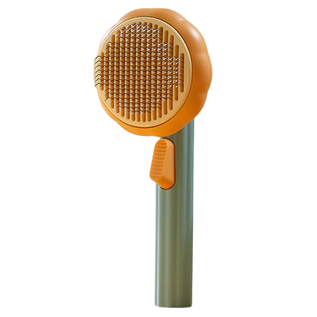 Self-cleaning pumpkin pet brush