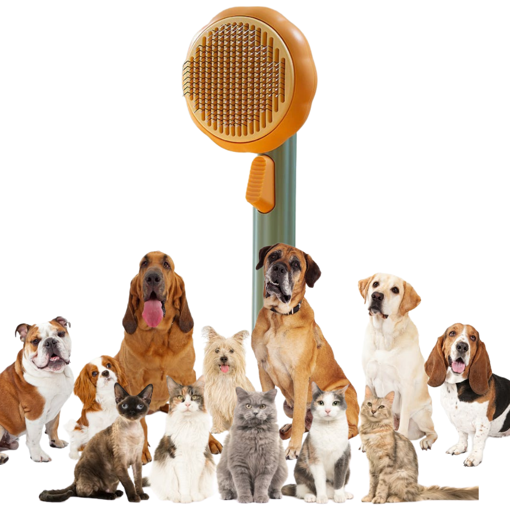 Self-cleaning pumpkin pet brush