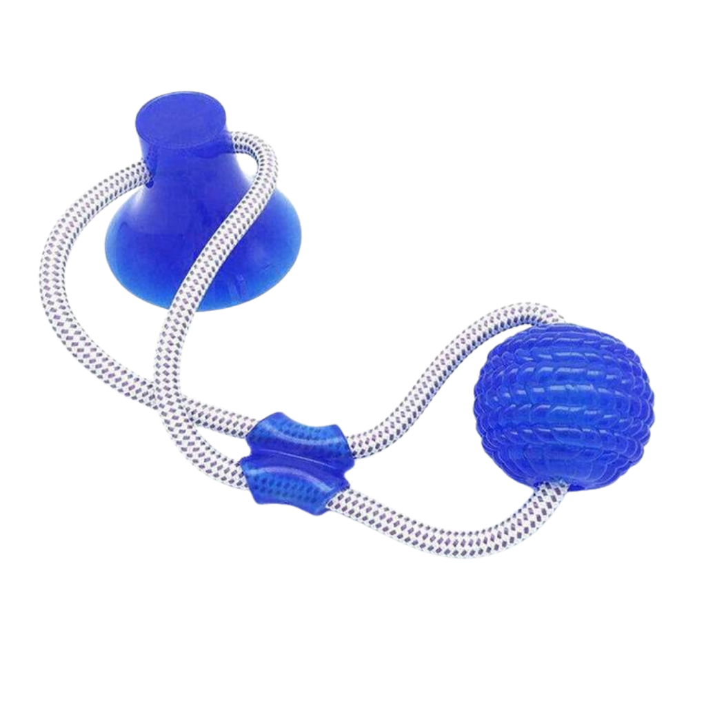 Suction Cup Dog Pull Ball Toy