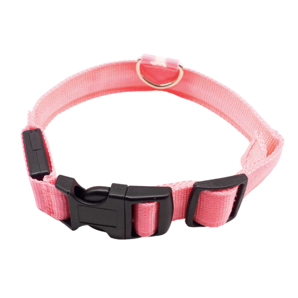 LED light pet collar