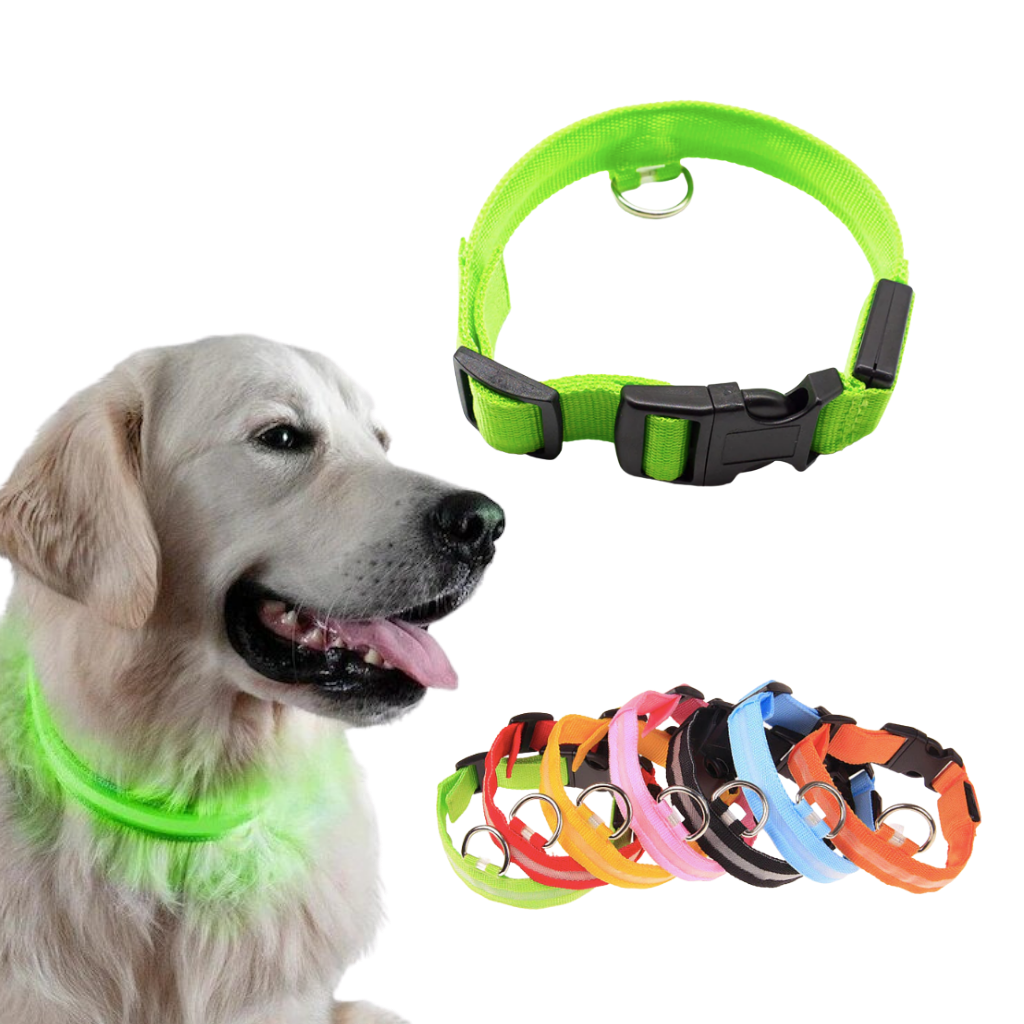 LED light pet collar