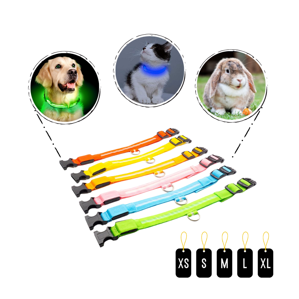 LED light pet collar