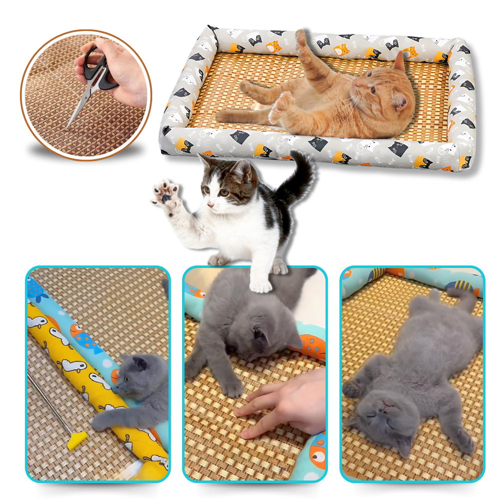 Anti-Slip Cooling Technology Pet Mat - Ozerty