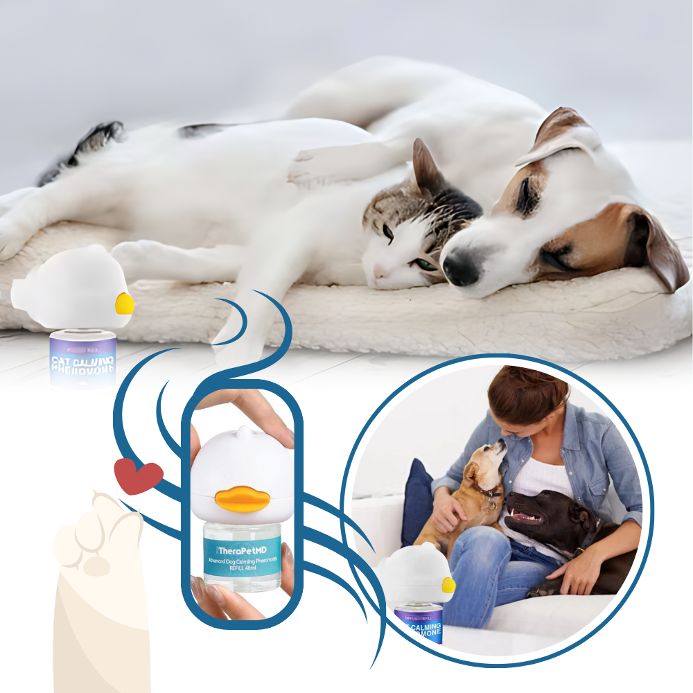 Anxiety Relief For Pets - Ozerty