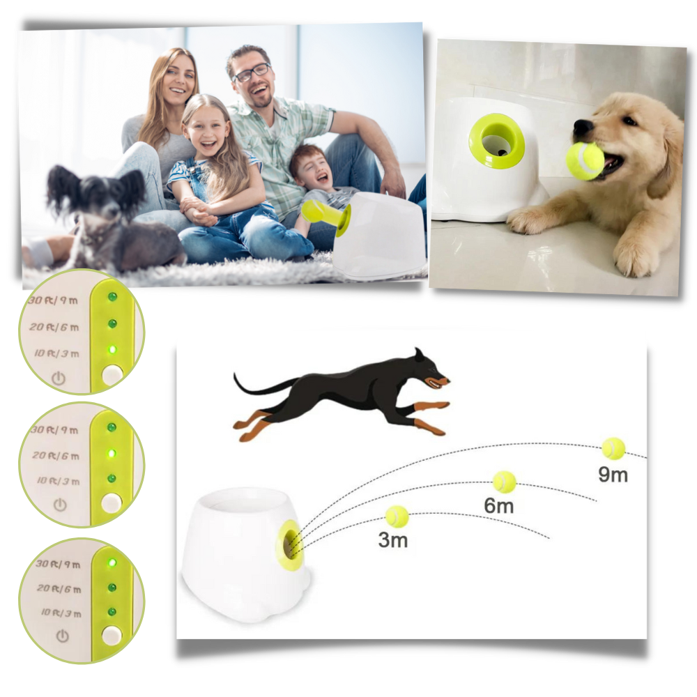 Automatic Dog Ball Launcher - Ozerty