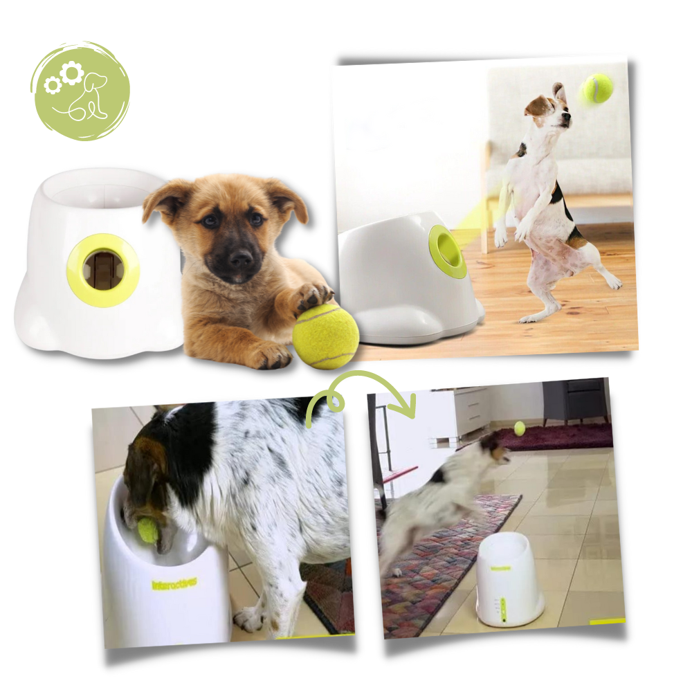 Automatic Dog Ball Launcher - Ozerty