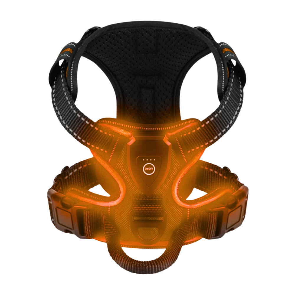 Blink LED Light Dog Harness -Orange - Ozerty