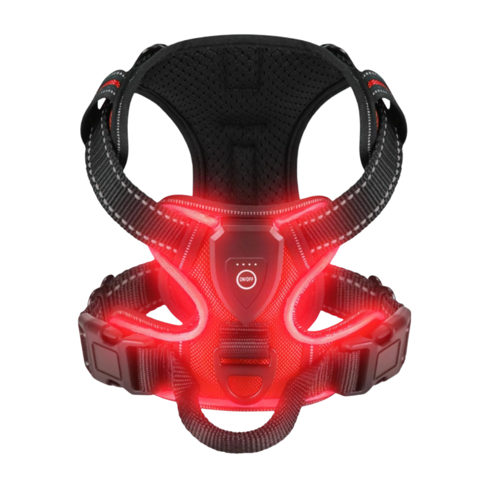 Blink LED Light Dog Harness