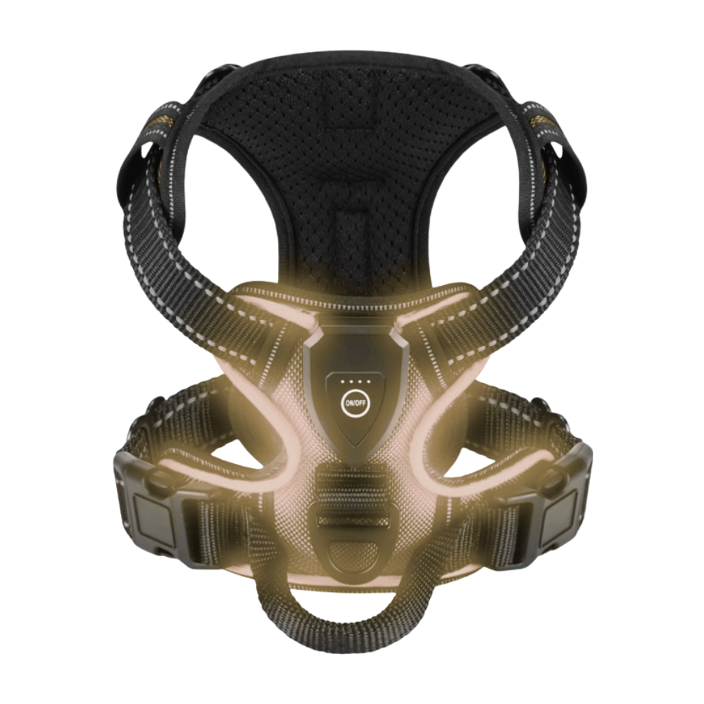Blink LED Light Dog Harness