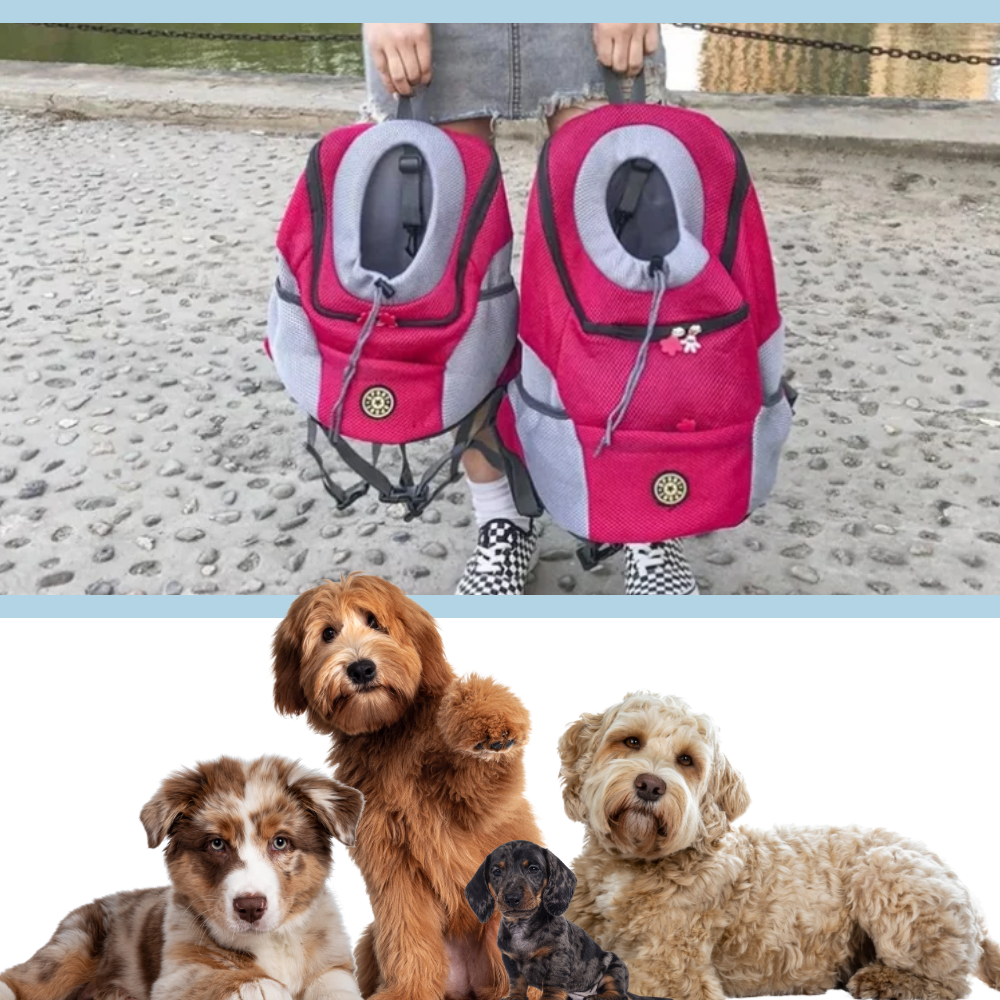 Breathable Dog Carrier Backpack - Ozerty