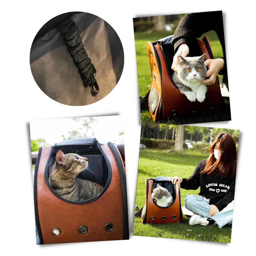 Cat Travel Backpack  - Ozerty