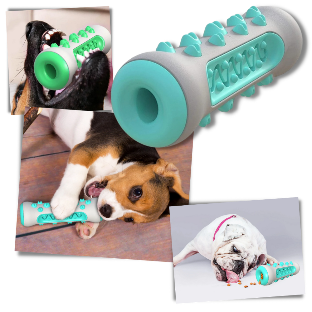 Dental Care Chew Toy for Dogs - Ozerty