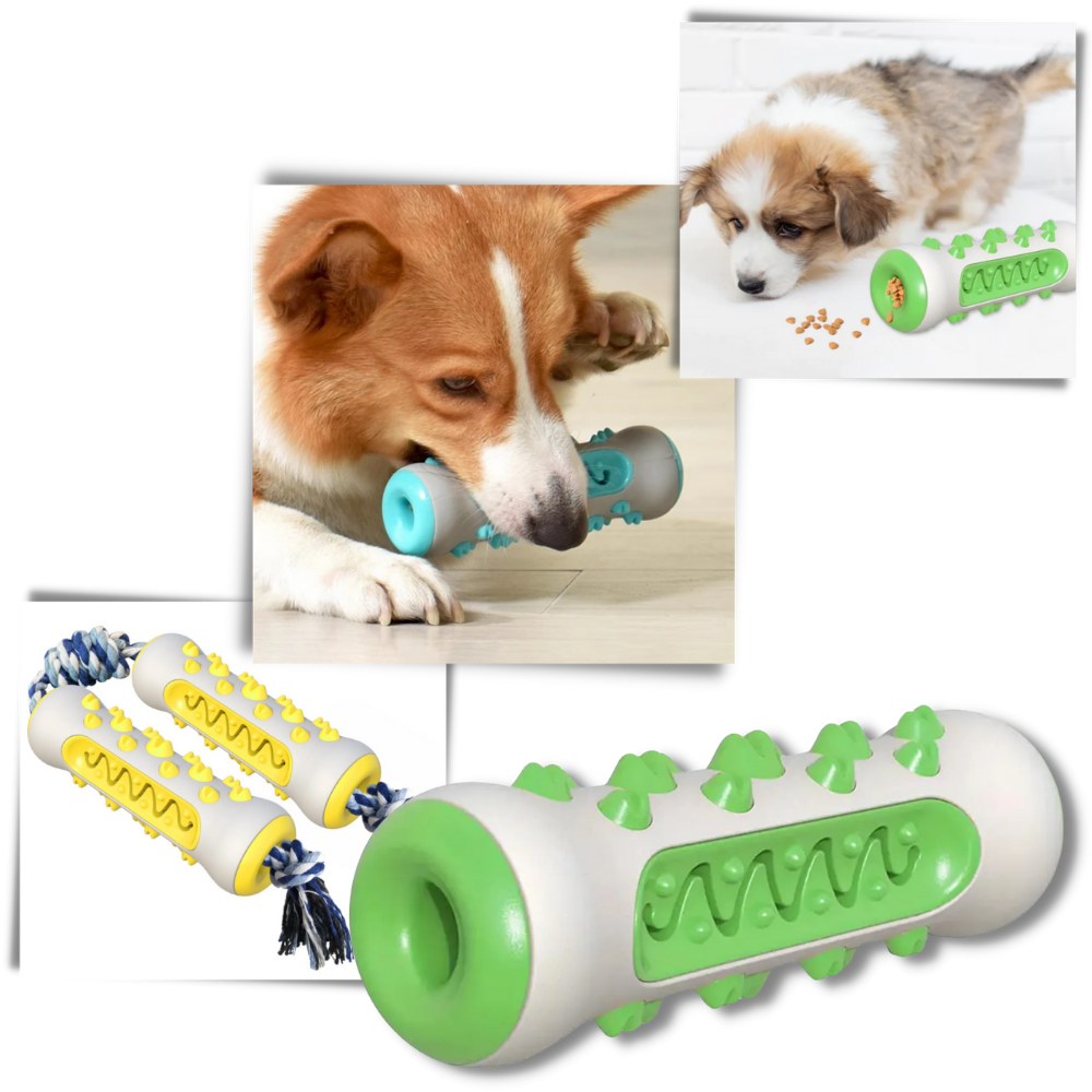 Dental Care Chew Toy for Dogs - Ozerty