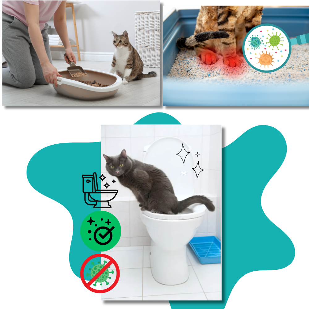 Easy Training Cat Litter Toilet Trainer - Ozerty