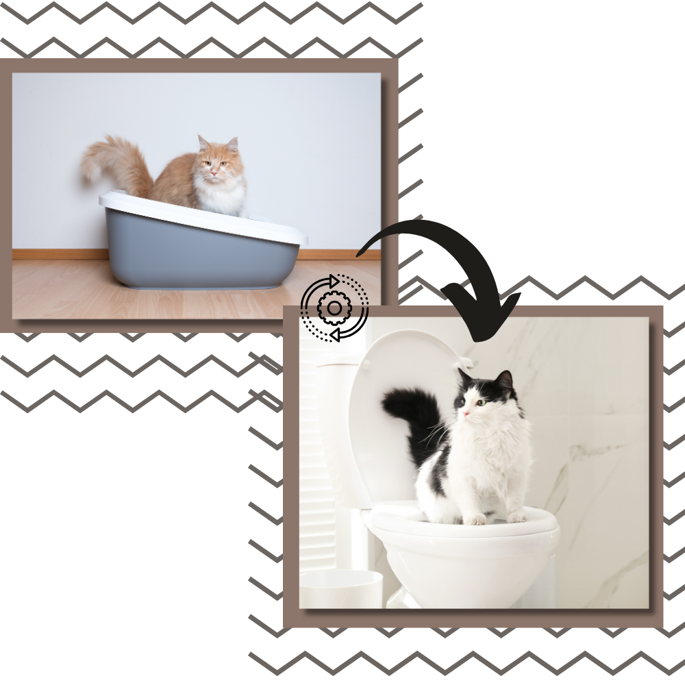 Easy Training Cat Litter Toilet Trainer - Ozerty