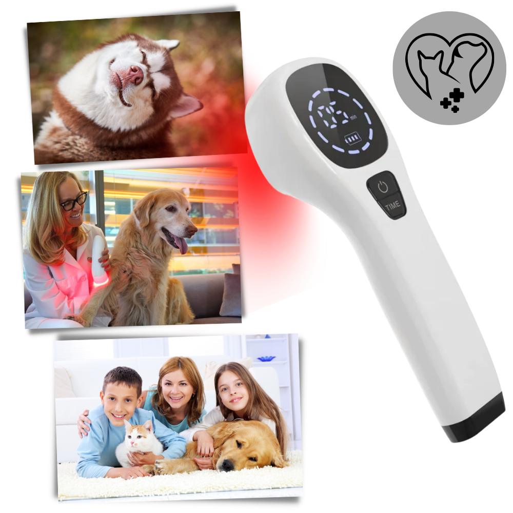 Handheld Infrared Therapy Device for Pet - Ozerty