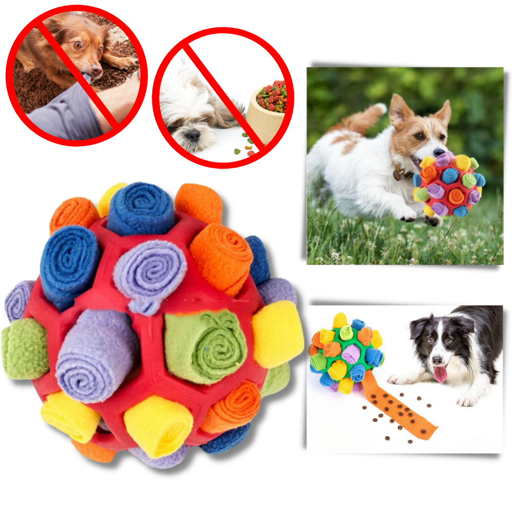 Mental Stimulator Snuffle Ball - Ozerty