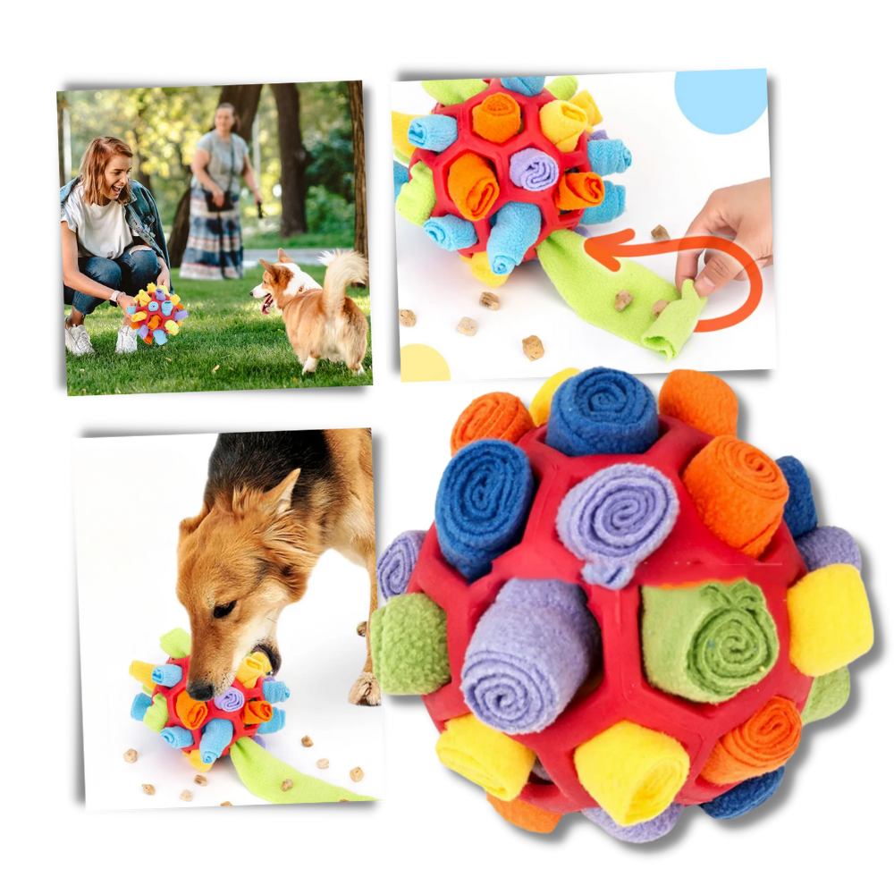 Mental Stimulator Snuffle Ball - Ozerty