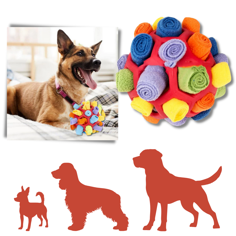 Mental Stimulator Snuffle Ball - Ozerty