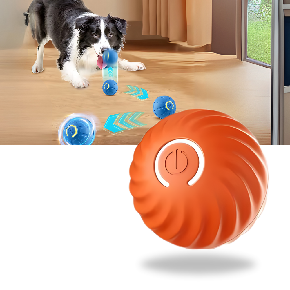 Obstacle Avoidance Dog Ball - Ozerty