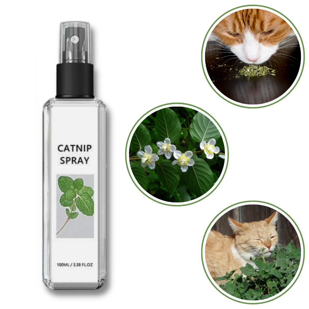 Pure Natural Silvervine For Cats - Ozerty