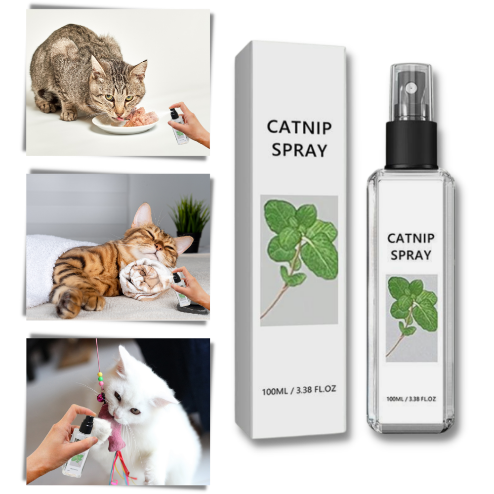 Pure Natural Silvervine For Cats - Ozerty