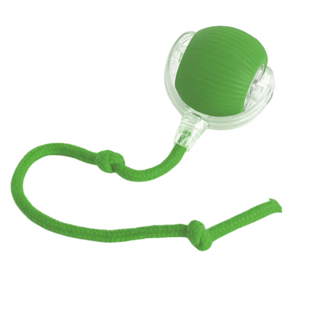 Smart Interactive Cats Ball Toy  -Green - Ozerty