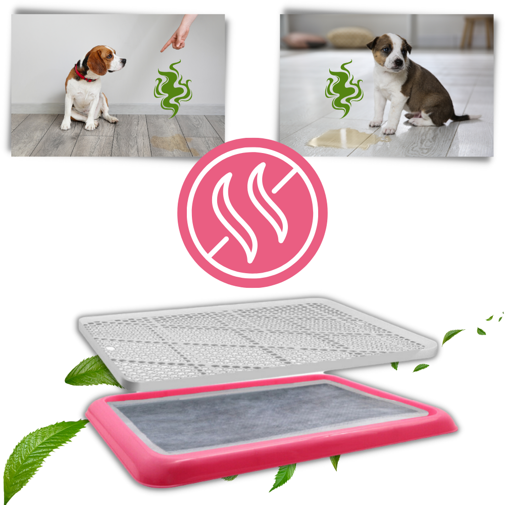 Splash-proof Dog Pee Pads - Ozerty