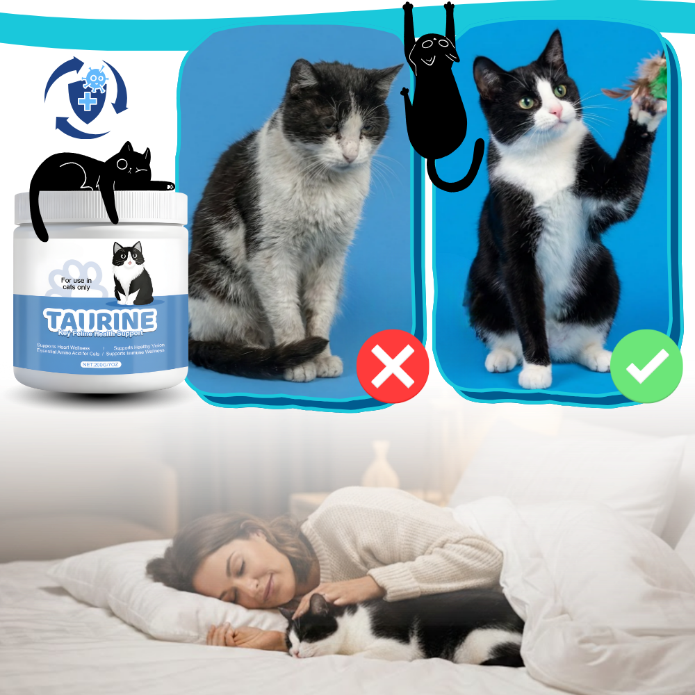 Taurine Cat Support Supplement - Ozerty