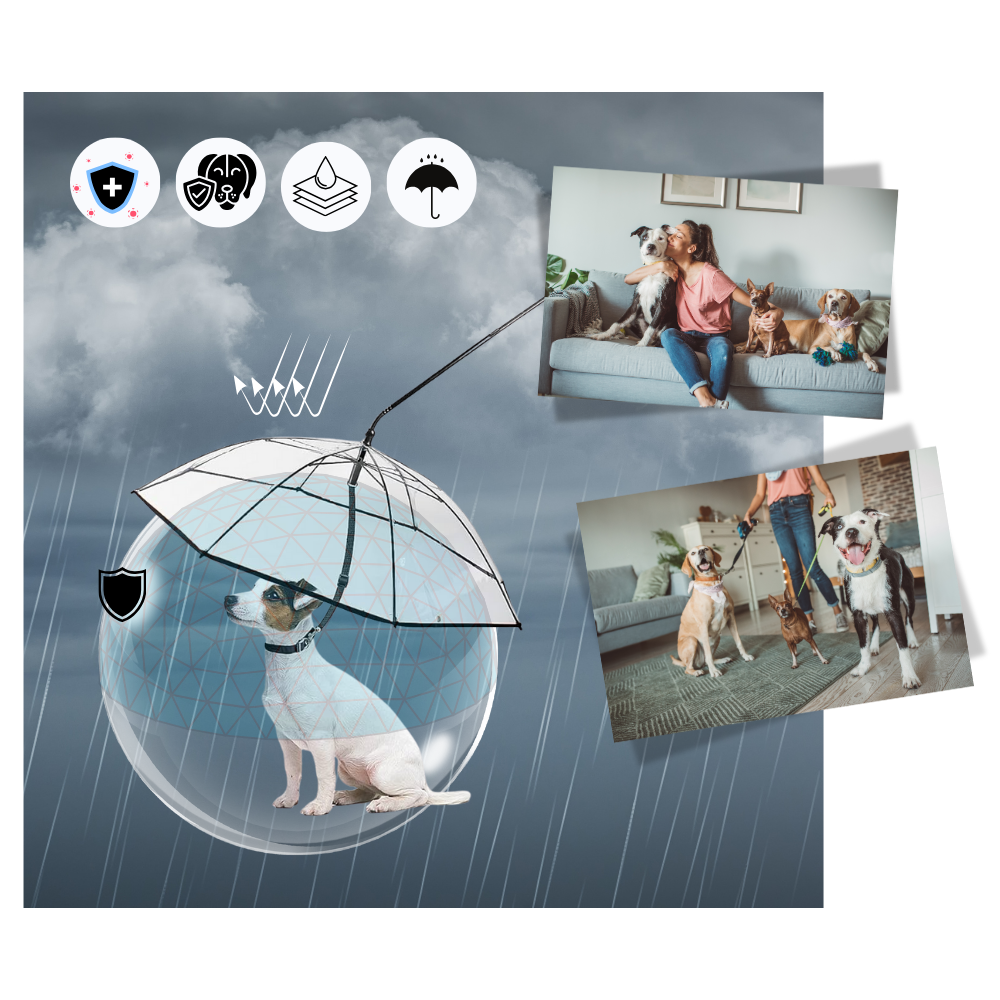 Transparent Dog Umbrella Leash - Ozerty